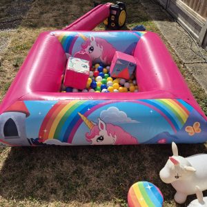 Unicorn Inflatable Ball Pit and Soft Play Set