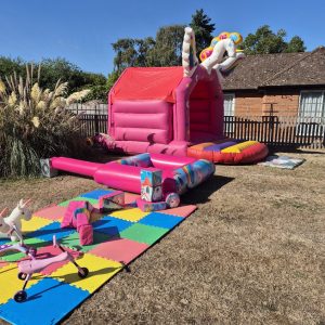 Pink Unicorn Ball Pit and Soft Play