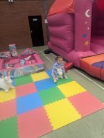 The Gabie Package - Pink Unicorn Castle, Ball Pit & Soft Play - Image 3